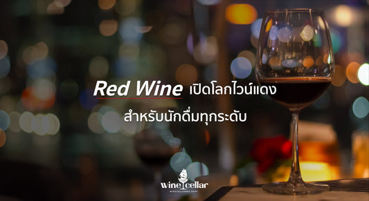 Red Wine เปิดโลกไวน์แดง สำหรับนักดื่มทุกระดับ