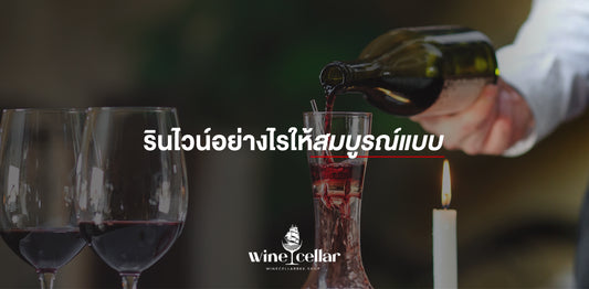 winecellar - รินไวน์อย่างไรให้สมบูรณ์แบบ