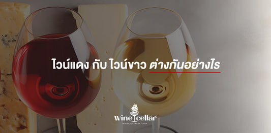 winecellar - ไวน์แดง กับไวน์ขาว ต่างกันอย่างไร