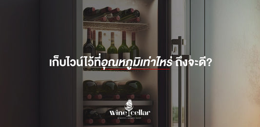 winecellar - เก็บไวน์ไว้ที่อุณหภูมิเท่าไหร่ ถึงจะดี?